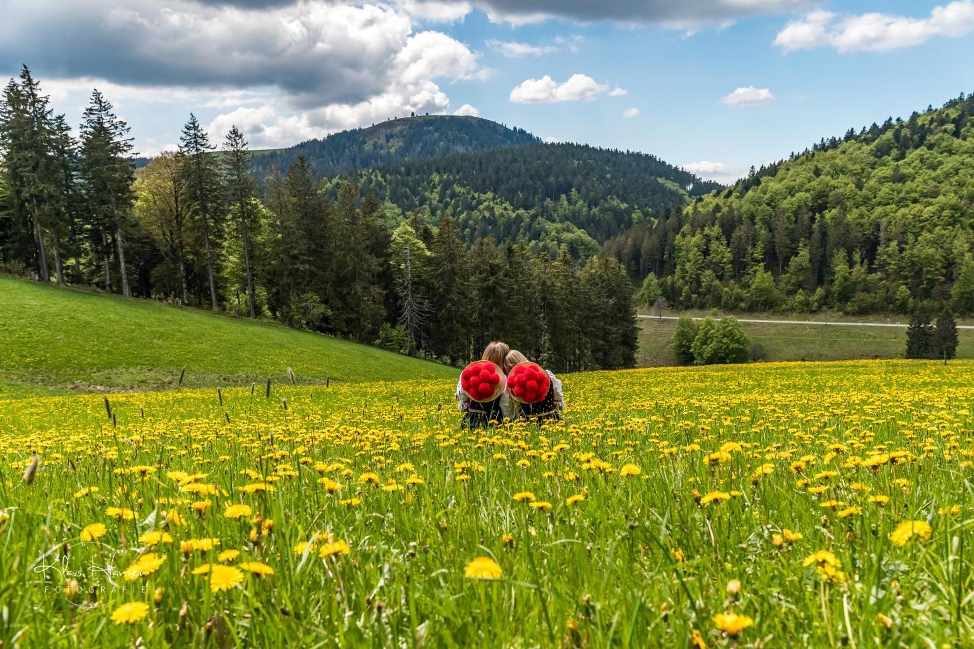 Schwarzwaldhaus Sonnenstrasse, Oberried-Hofsgrund, Dreisamtal Villa โอเบอร์รีด ภายนอก รูปภาพ