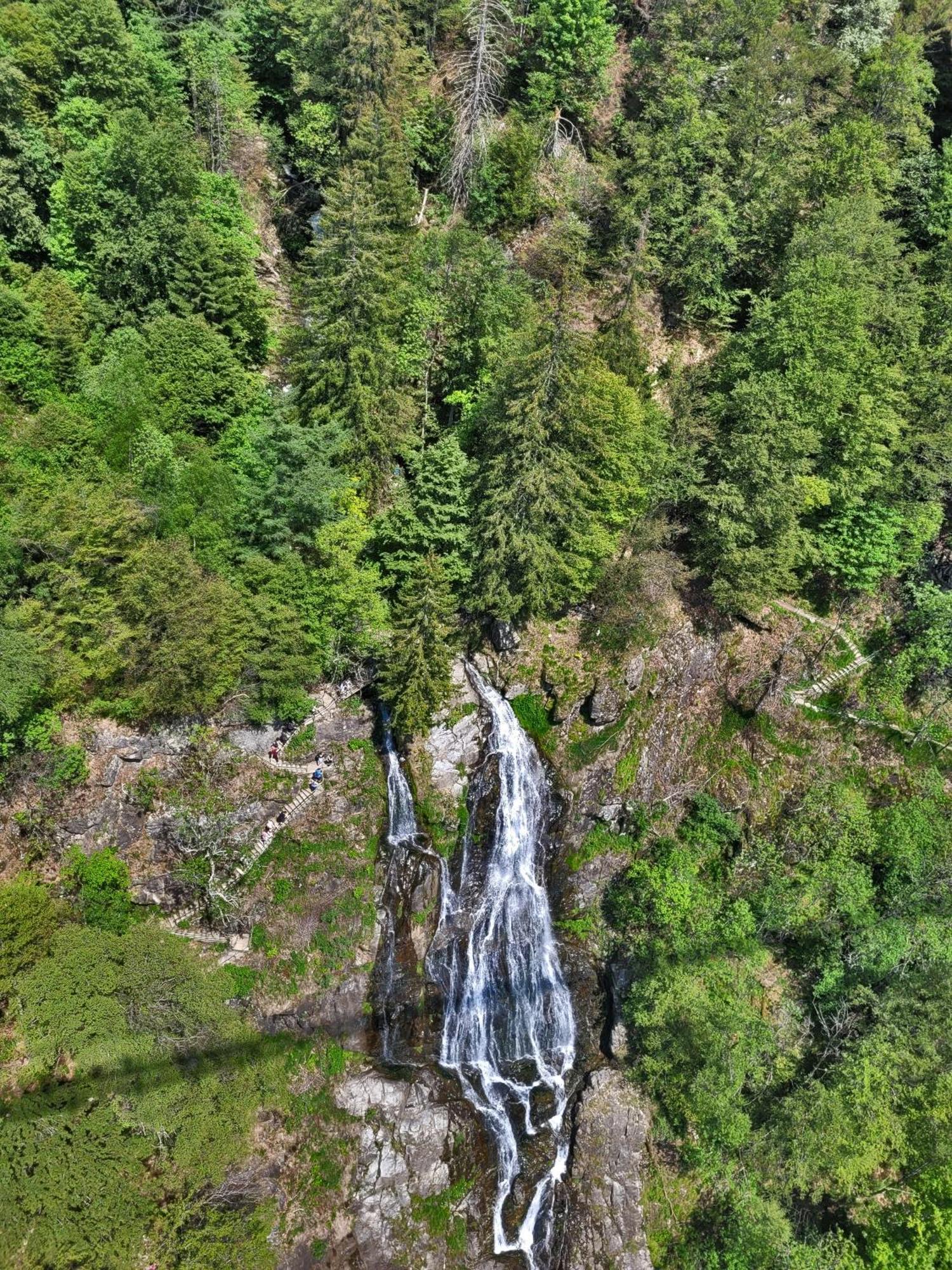 Schwarzwaldhaus Sonnenstrasse, Oberried-Hofsgrund, Dreisamtal Villa โอเบอร์รีด ภายนอก รูปภาพ